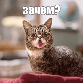 КОТИКИ))) — стикер для MAX