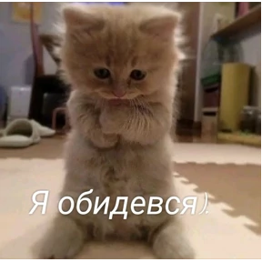 КОТИКИ))) — стикер для MAX