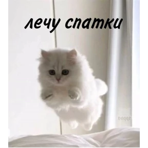 КОТИКИ))) — стикер для MAX