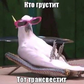 Мой набор — стикер для MAX