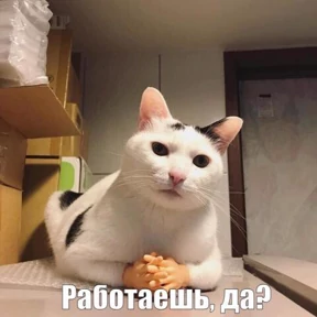 Мой набор — стикер для MAX