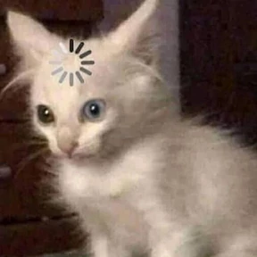 Мяу — стикер для MAX