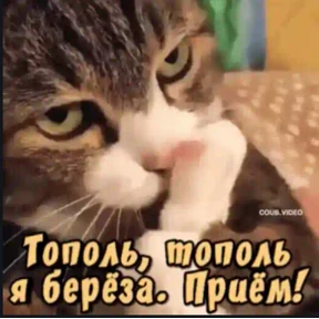 Игра — стикер для MAX