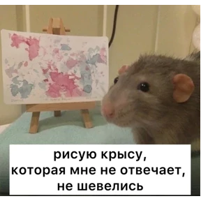 Крыски — стикер для MAX