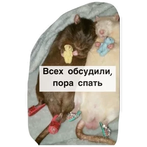 Крыски — стикер для MAX
