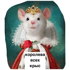 Крыски — стикер для MAX