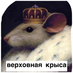 Крыски — стикер для MAX