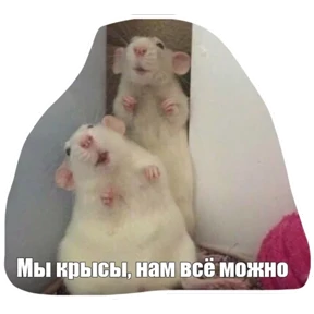 Крыски — стикер для MAX