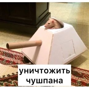 Крыски — стикер для MAX