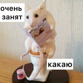 Крыски — стикер для MAX