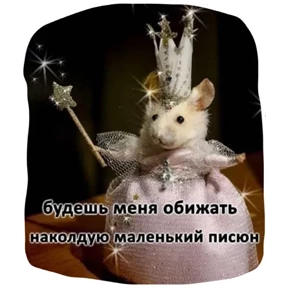 Крыски — стикер для MAX