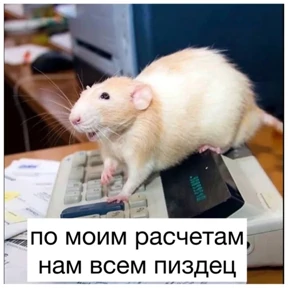 Крыски — стикер для MAX