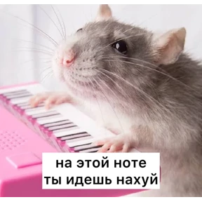Крыски — стикер для MAX