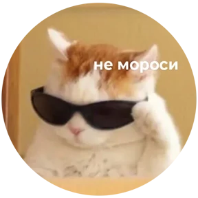 Котости2 — стикер для MAX