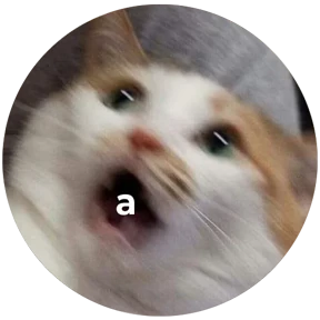 Котости2 — стикер для MAX