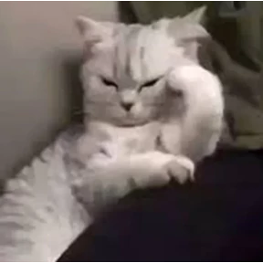 Котости2 — стикер для MAX