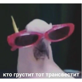 пиу пяу — стикер для MAX