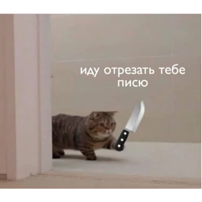 пиу пяу — стикер для MAX