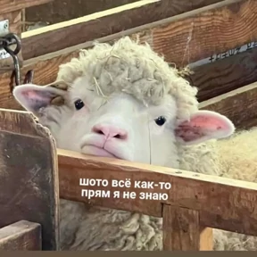 пиу пяу — стикер для MAX