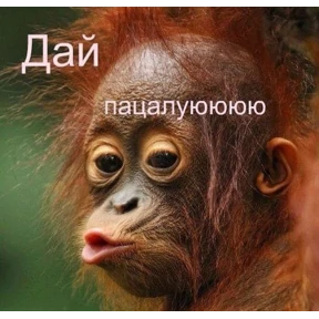Ясно понятно — стикер для MAX