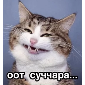 Ясно понятно — стикер для MAX