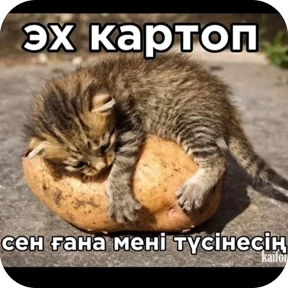 тыыннаах — стикер для MAX