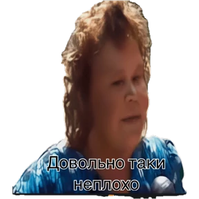 Рада мем — стикер для MAX