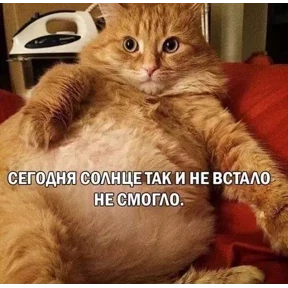Пупу — стикер для MAX