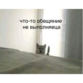 Пупу — стикер для MAX