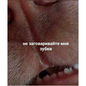 Пупу — стикер для MAX