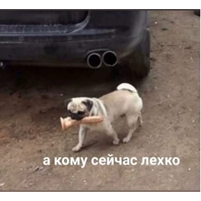 Пупу — стикер для MAX