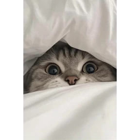 Пупу — стикер для MAX
