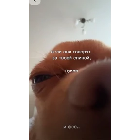 Пупу — стикер для MAX
