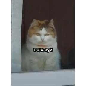 Пупу — стикер для MAX