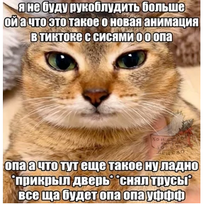 Егорик — стикер для MAX