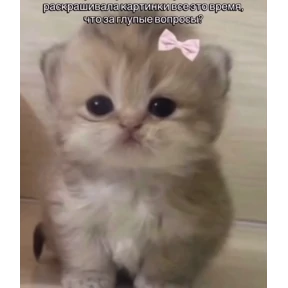 Кристик — стикер для MAX