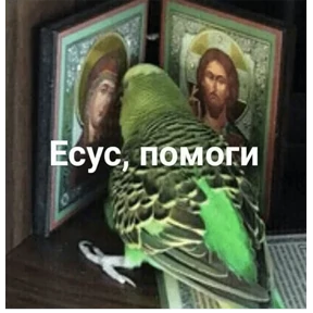 тыыннаах — стикер для MAX