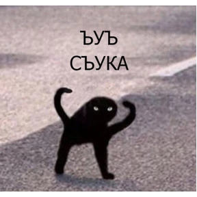 dimavesna — стикер для MAX
