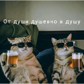 Ясно понятно — стикер для MAX