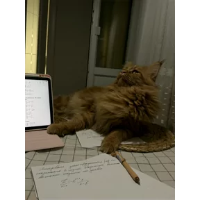 Стикер