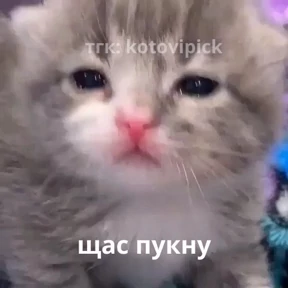Мы — стикер для MAX