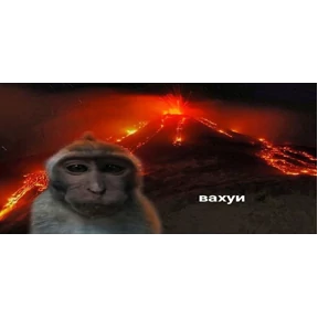 Обезьяны Марка — стикер для MAX