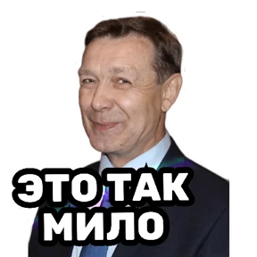 РЦК-АЛТАЙ — стикер для MAX