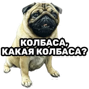 РЦК-АЛТАЙ — стикер для MAX