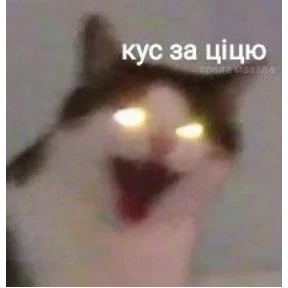 Bitch — стикер для MAX