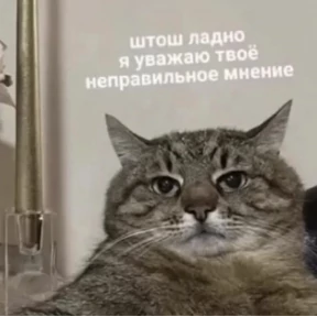 Bitch — стикер для MAX