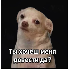 Bitch — стикер для MAX