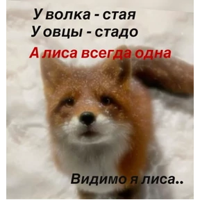 ЛисЯ — стикер для MAX