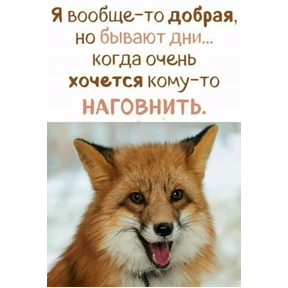 ЛисЯ — стикер для MAX