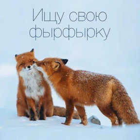 ЛисЯ — стикер для MAX